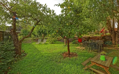 Ein schöner Garten mit üppigem Gras und Obstbäumen. Es gibt eine Terrasse mit Stühlen und einen Grillbereich.