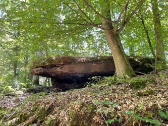 Münchhofer Fels_02