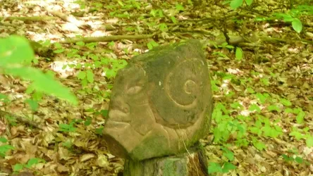 Eine geheimnisvolle Holzskulptur im Wald, teils von grünen Blättern umgeben. Die Skulptur zeigt ein Gesicht mit spiralförmigen Mustern.