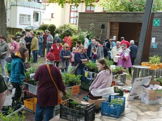 Ein grüner Markt mit vielen Menschen, die Pflanzen und Kräuter kaufen. Stände sind mit Kisten voller Setzlinge dekoriert.