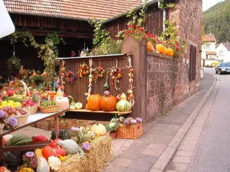 Straßenansicht (© Andreas Schwögler)