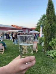 Eine Person hält ein Glas in der Hand, während im Hintergrund eine Veranstaltung im Freien stattfindet. Die Umgebung ist grün und es sind mehrere Menschen zu sehen, die sich entspannen.