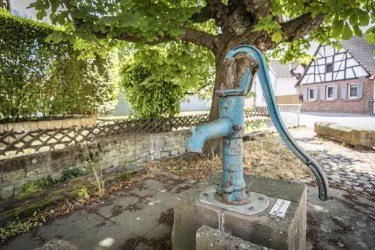 alter Brunnen (© Verein SÜW Edenkoben, T. Kujat)