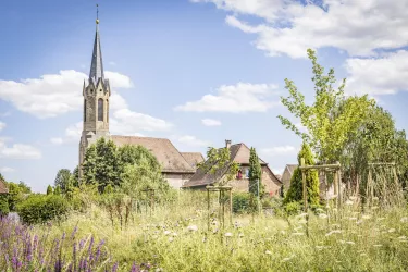 Kirche Großfischlingen (© Verein SÜW Edenkoben, T. Kujat)