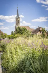 Kirche Großfischlingen (© Verein SÜW Edenkoben, T.Kujat)