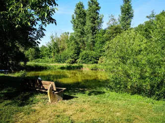 Inheim Fischweiher Bank Picknickplatz