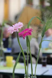 Zwei bunte Gerbera-Blumen in Vasen stehen auf einem Tisch. Im Hintergrund sind unscharfe Silhouetten von Personen zu sehen.