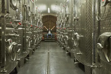 Bio-Weingut Martin