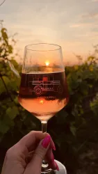 Ein Glas Roséwein vor einem malerischen Sonnenuntergang. Der Hintergrund zeigt Weinreben und eine sanfte, goldene Abendstimmung.