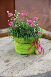 Ein fröhlicher Topf mit pinken Blumen und grünem Gras. Der Topf ist auffällig und hat eine bunte Schnur umwickelt.