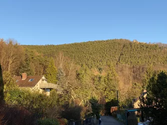 Ruhige Straße am Waldrand mit Rietburgblick