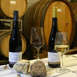 Weingut Möwes Weine (© Weingut Möwes)