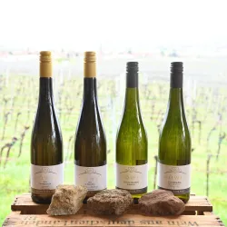 Wein Sortiement (© Weingut Möwes)