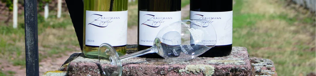 Drei Weinfalschen stehen auf einem Stein, neben einem umgekippten Glas. Die Umgebung ist grün und natürlich.