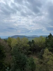Aussicht von Ludwigstrum