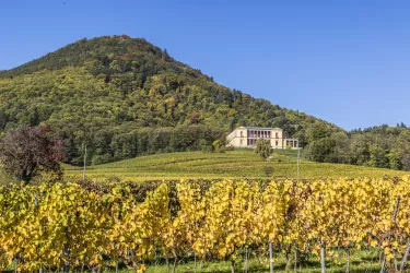 Villa Ludiwgshöhe