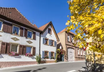 Weyher (© Verein SÜW Edenkoben, T. Kujat)