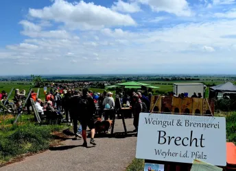 Eine belebte Weinveranstaltung mit vielen Besuchern. Im Hintergrund sind Weinberge und eine weite Aussicht zu sehen.