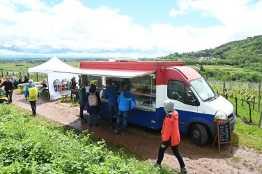Ein Foodtruck steht an einem Weinberg, umgeben von grünen Feldern. Menschen stehen in der Nähe und genießen die frische Luft.