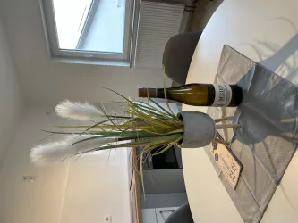 Weingut Meier (© Weingut Meier)