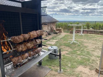 Ein Grill mit mehreren Fleischstücken, der über offenem Feuer gart. Im Hintergrund erstreckt sich eine malerische Landschaft mit Weinbergen und einem bewölkten Himmel.