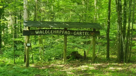 Waldlehrpfad Im Gärtel Baumholder