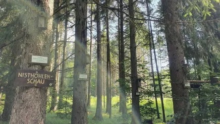 Nisthöhlenschau Naturschutzplatz Gärtel Baumholder