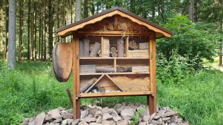 Insektenhotel Naturschutzplatz Gärtel Baumholder