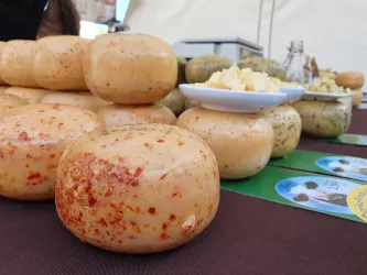 Eine Auswahl an verschiedenen Käsesorten in runder Form. Einige Käse sind mit Gewürzen verziert und auf einem Tisch präsentiert.