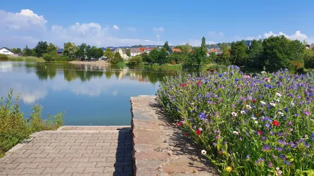 Stadtweiher Baumholder