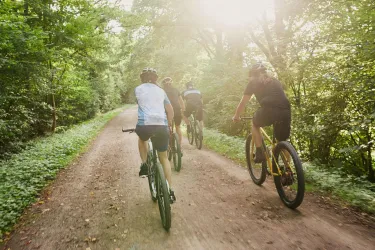 Gruppe von Mountainbikern auf einem Schotterweg im Wald. Die Sonne strahlt durch die Bäume und schafft eine schöne Atmosphäre.