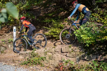Zwei Radfahrer auf einem Waldweg, der von grünen Pflanzen umgeben ist. Die Sonne scheint und es ist ein schöner Tag für Mountainbiking.