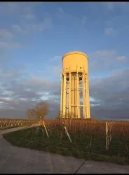 Ein Wasserturm steht auf einem Feld mit Weinreben. Der Himmel ist bewölkt und die Sonne beleuchtet die Szene.