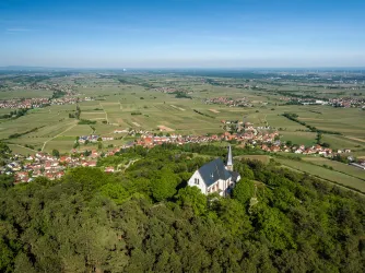 Eine hübsche Landschaft mit sanften Hügeln und vielen Feldern. Im Vordergrund steht eine Kirche umgeben von Bäumen.