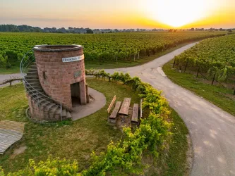 Ein malerischer Weinberg mit einem Turm und einer Sitzgruppe. Im Hintergrund strahlt die Sonne am Horizont.