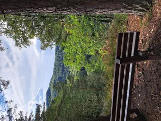 Aussicht vom Heidelsburg-Plateau