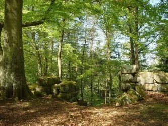 Heidelsburg (© Touristikbüro Holzland / Sickinger Höhe)