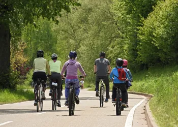 Eine Gruppe von Radfahrern fährt auf einer kurvigen Landstraße. Die Umgebung ist grün und von Bäumen gesäumt.