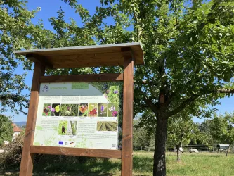 Infotafel am Storchenwanderweg Winden