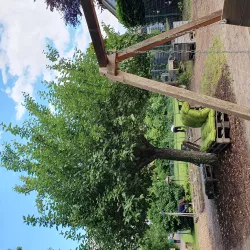 Relaxschaukel und Relaxliegen Winden