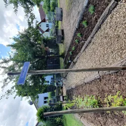 Winden - Naschgarten am Storchenwanderweg