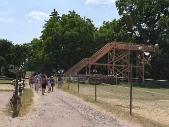 Eine Gruppe von Menschen geht einen Weg entlang, vorbei an einem Holzgerüst. Im Hintergrund sind grüne Bäume und ein blauer Himmel zu sehen.