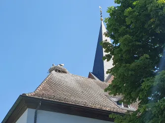 Storchennest auf Kirchdach in Winden