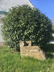 Hauszeichen aus Stein