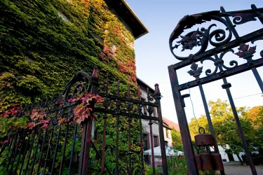 Hoftor Weingut Janson Bernhard (© Weingut Janson Bernhard)