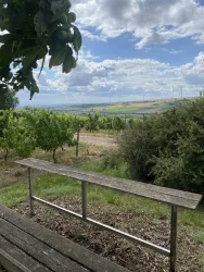 Eine Aussicht auf sanfte Hügel mit Weinreben und einem bewölkten Himmel. Eine Holzbank lädt zum Verweilen ein.