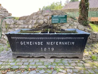 Armkneippbecken in Niefernheim
