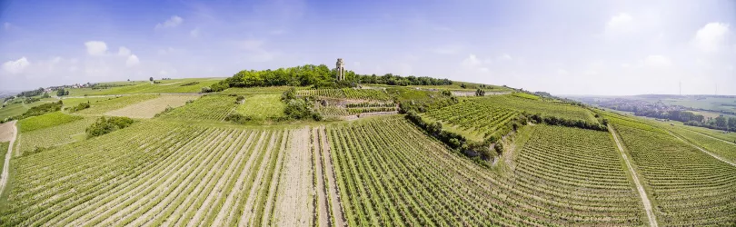 Blick aufs Zellertaler Ehrenmal (© Pfalz.Touristik e.V., Knut Pflaumer)