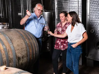 Im Weinkeller (© Donnersberg-Touristik-Verband e.V., Fachenbach Medienagentur)