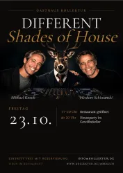 Ein Plakat für eine Veranstaltung mit dem Titel "Different Shades of House". Zwei Männer stehen neben einem DJ-Pult, während ein Tierkopf mit Anzug auf einem der Männer sitzt.